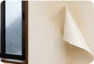 窓から入った雨水によって剥がれた壁紙